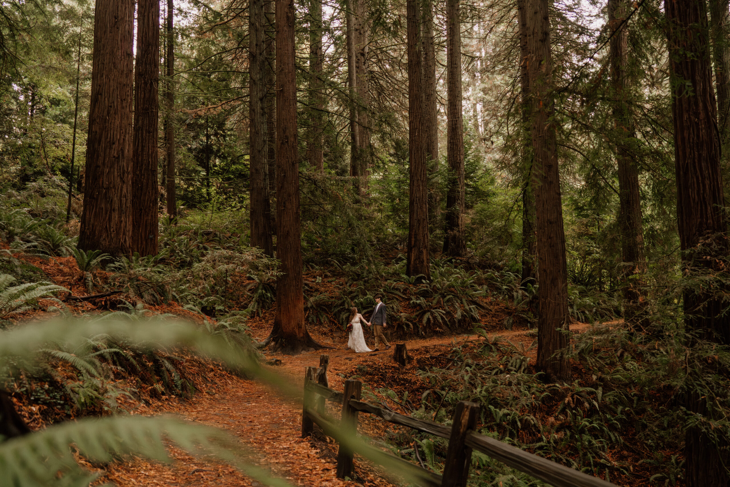 Couple walking down trail at Hoyt Arboretum in Portland during their Redwood Deck Elopement.