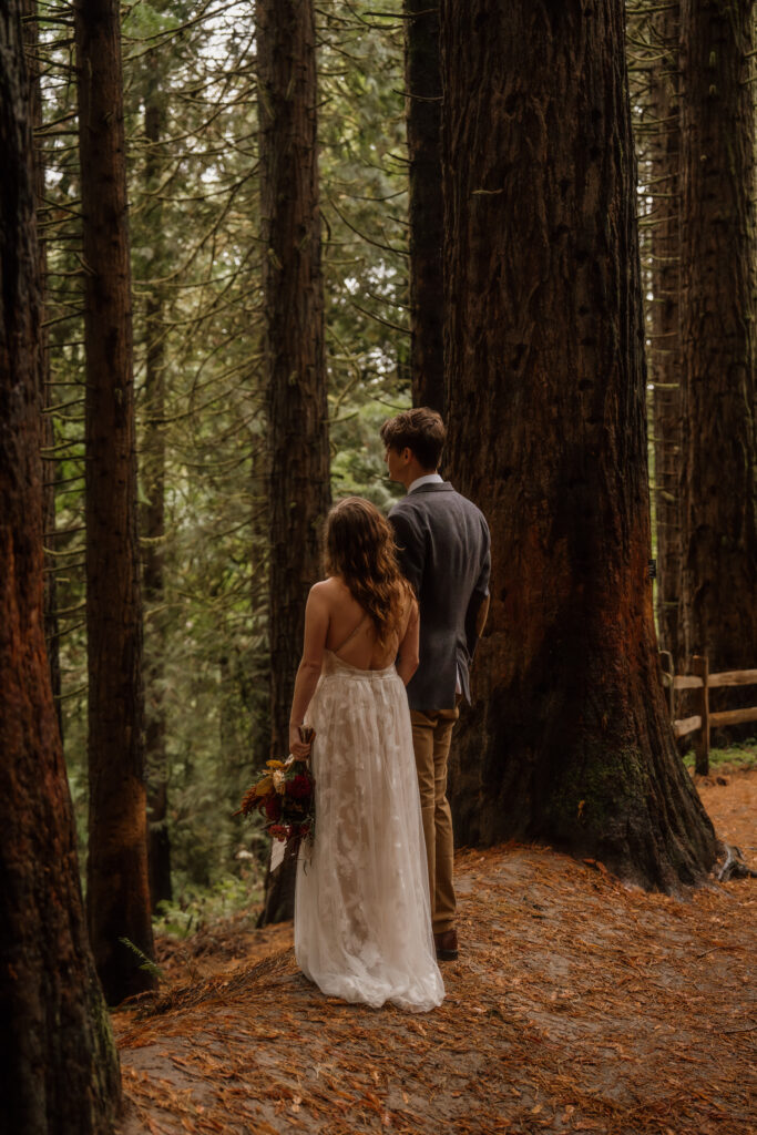 Couple looking out at the forest at Hoyt Arboretum in Portland, Oregon.