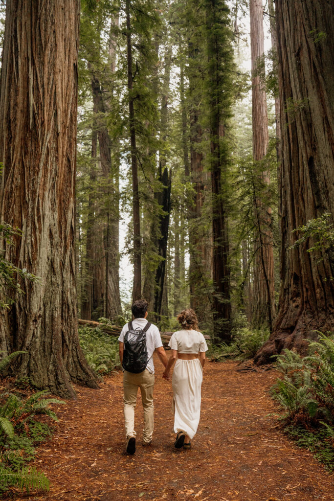 Bride and Groom hiking in the Redwoods during their adventure elopement.