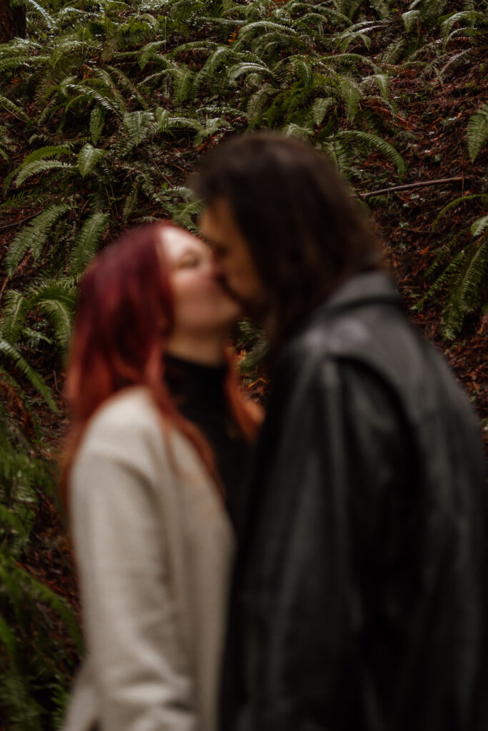 Couple out of focus kissing with ferns in background in focus during their foggy engagement photos.