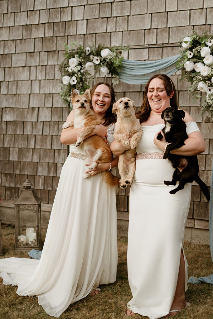 Couples portraits with their dogs at the Star Gazer before the ceremony