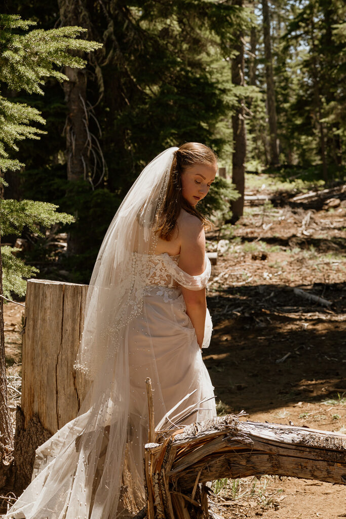 Bride assists her gown as she steps over a fallen tree