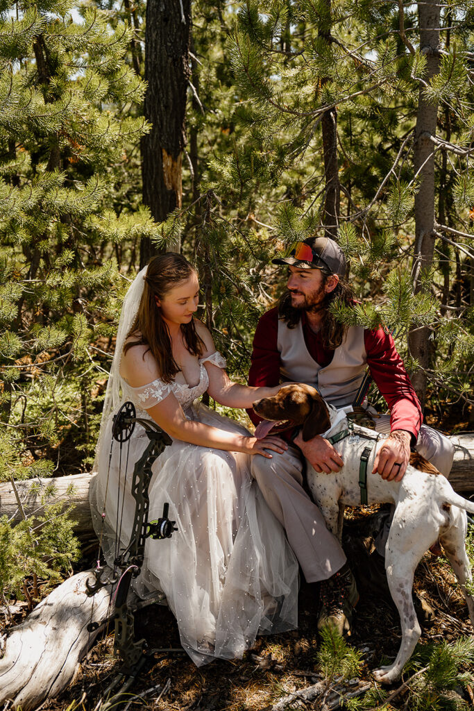 Bride and groom take a break on some wood as they pet their dog