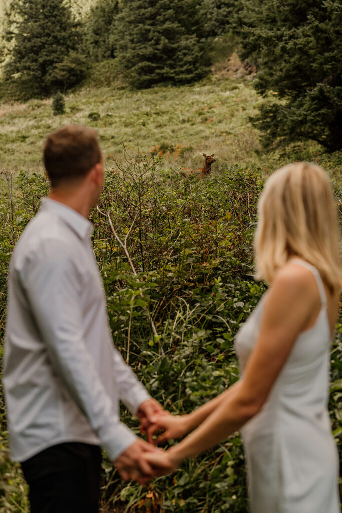 Couple spots a deer during their engagement photos at Elk Flats