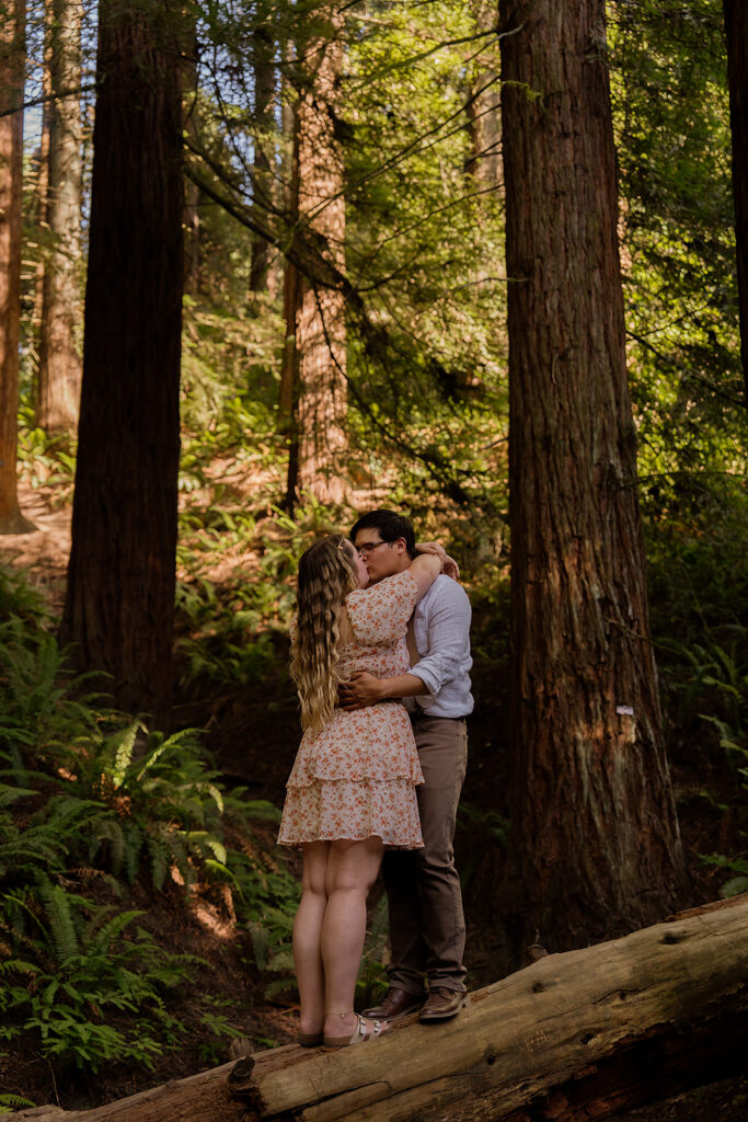Hoyt Arboretum couple's photoshoot