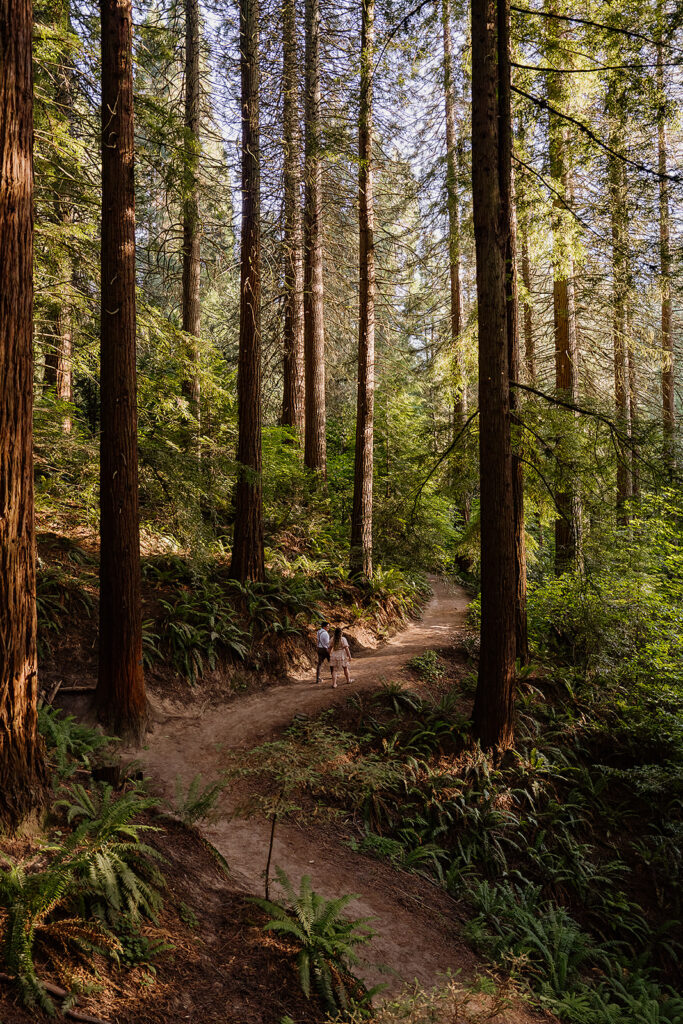 Hoyt Arboretum couple's photoshoot
