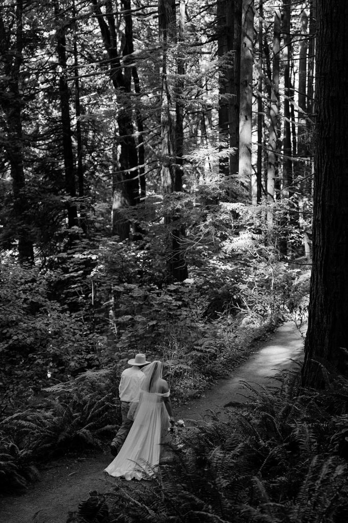 Bride and groom walk through the redwoods at Hoyt Arboretum 