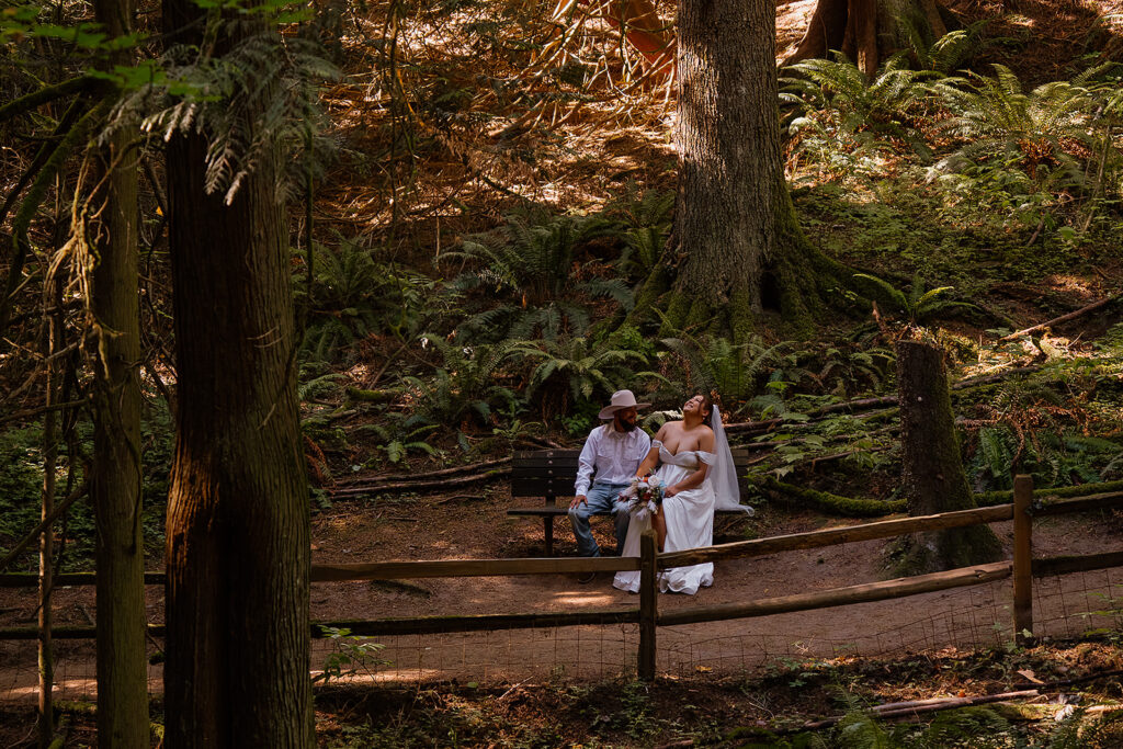 Bride and groom laugh on a bench together surrounded by Ferns and redwoods at Hoyt Arboretum 