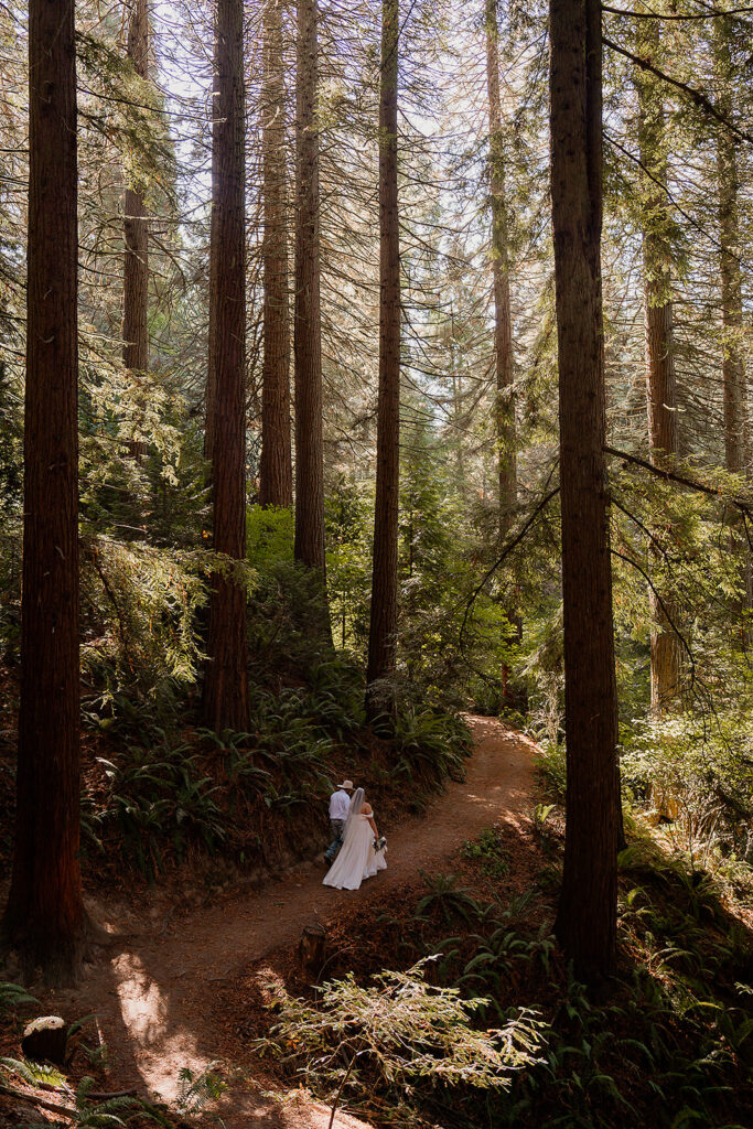 Bride and groom walk through the redwoods at Hoyt Arboretum 