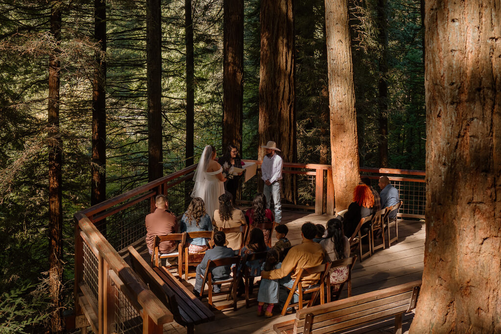 Intimate Hoyt Arboretum wedding on the Redwood Deck
