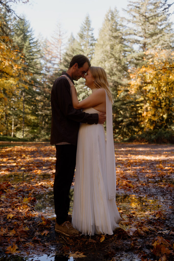 Mount Pisgah Arboretum engagement photos