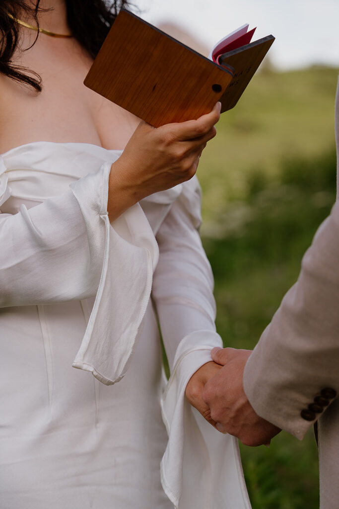 Couple exchanging vows in a quiet alpine meadow at Flattop Mountain in Anchorage Alaska