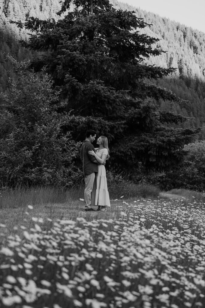 PNW engagement photos in wildflowers with evergreens in the backdrop